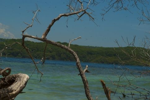 Fotografia de ollarves retratos profesionales y artisticos - Galeria Fotografica: 