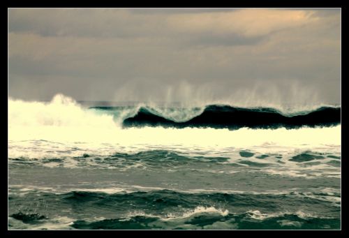 Fotografia de cr.none - Galeria Fotografica: mias - Foto: 