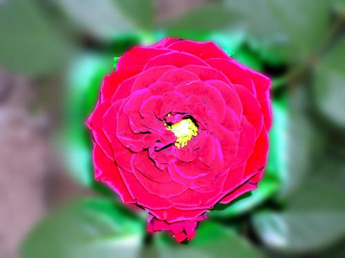 Fotografia de Jaime T.Lecuona - Galeria Fotografica: Treplev I - Foto: 