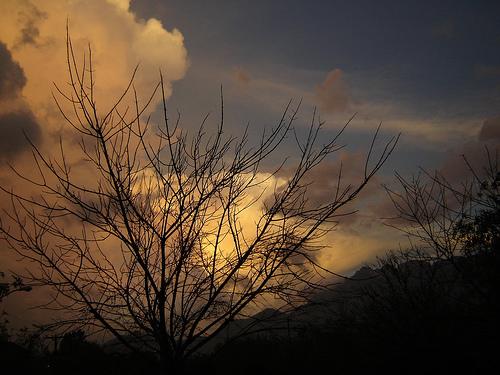 Fotografia de PL - Galeria Fotografica: mc mireles - Foto: el paraiso de salce...