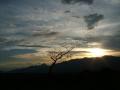 Fotos de Hector Augusto Cuestas -  Foto: Atardeceres - ocaso tras el rbol solitario