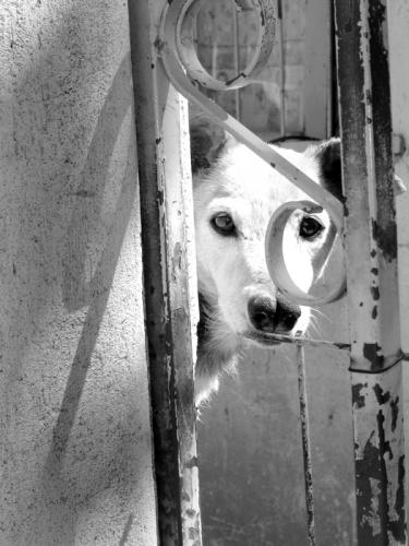 Fotografia de Innsanitaria - Galeria Fotografica: by Innsanitaria - Foto: Eye