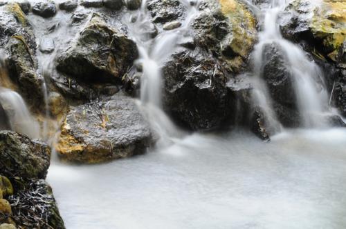 Fotografia de retefonica - Galeria Fotografica: En el parque - Foto: Seda