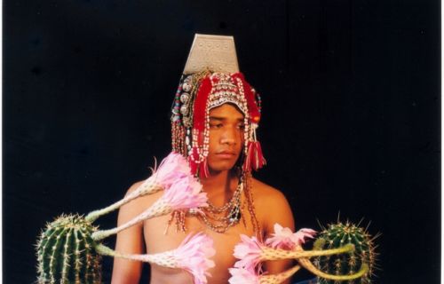 Fotografia de PEDRO GANDA - Galeria Fotografica: RETRATOS - Foto: CACTUS