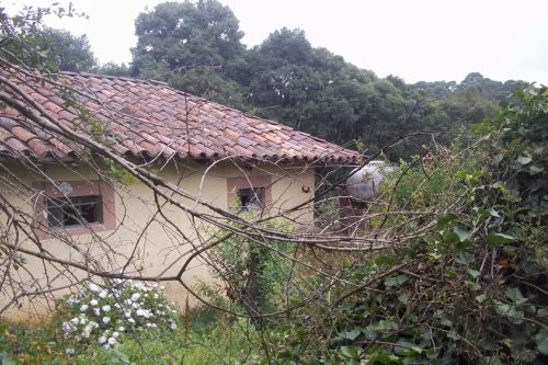 Fotografia de henry_lover - Galeria Fotografica: EL estado de HIDALGO mexico - Foto: 