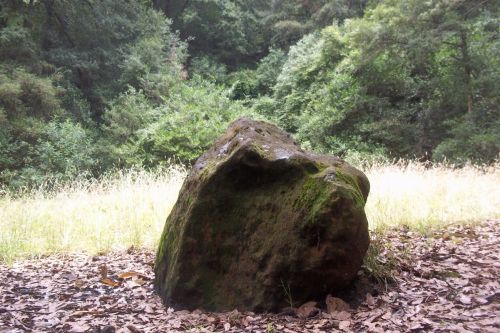 Fotografia de henry_lover - Galeria Fotografica: EL estado de HIDALGO mexico - Foto: 