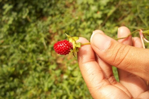 Fotografia de henry_lover - Galeria Fotografica: EL estado de HIDALGO mexico - Foto: 
