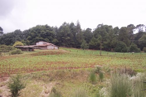 Fotografia de henry_lover - Galeria Fotografica: EL estado de HIDALGO mexico - Foto: 