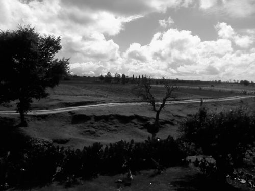 Fotografia de henry_lover - Galeria Fotografica: EL estado de HIDALGO mexico - Foto: 