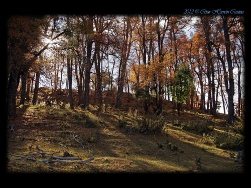 Fotografia de cesarfotos - Galeria Fotografica: Dossier profesional - Foto: 