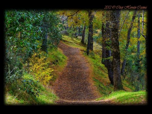 Fotografia de cesarfotos - Galeria Fotografica: Dossier profesional - Foto: 