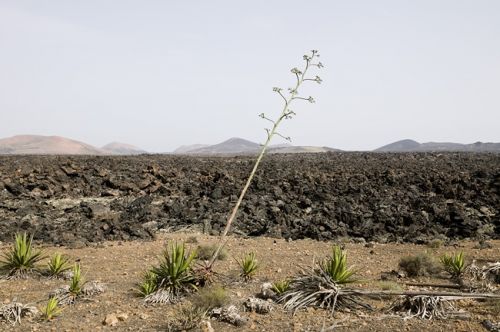 Fotografia de Pedro Antonio Prez, fotografas - Galeria Fotografica: Volcn - Foto: 