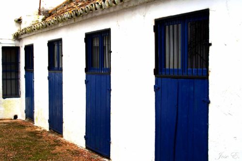 Fotografia de jose - Galeria Fotografica: Varios - Foto: Puertas