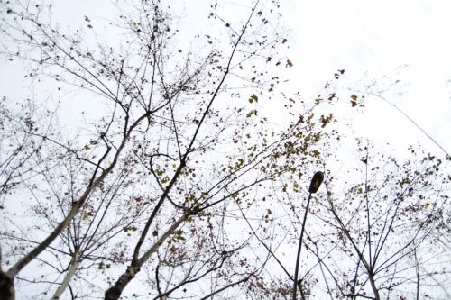 Fotografia de Producciones Audiovisuales Manuel Mira - Galeria Fotografica: varias - Foto: 