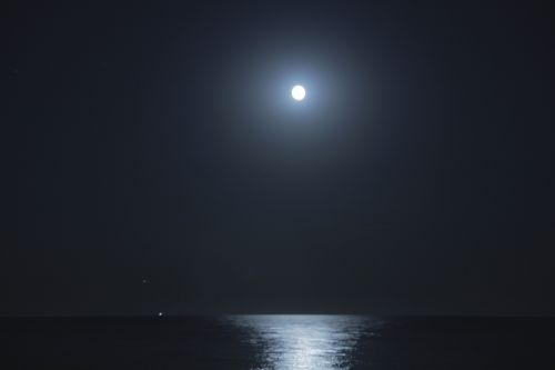 Fotografia de Cine y Video BARCELONA - Galeria Fotografica: varias - Foto: 