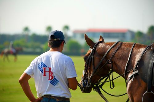 Fotografia de Curro24 - Galeria Fotografica: Polo Sotogrande - Foto: 