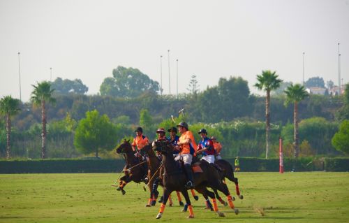 Fotografia de Curro24 - Galeria Fotografica: Polo Sotogrande - Foto: 