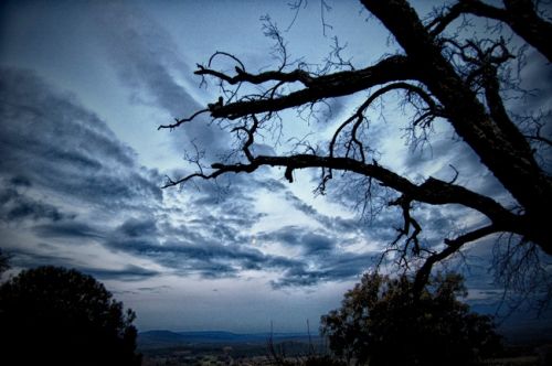 Fotografia de Vicente Nondedeu - Galeria Fotografica: Album nmero uno - Foto: 