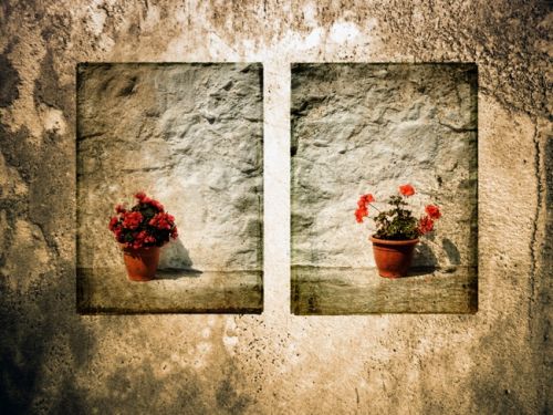 Fotografia de Vicente Nondedeu - Galeria Fotografica: Album nmero uno - Foto: 