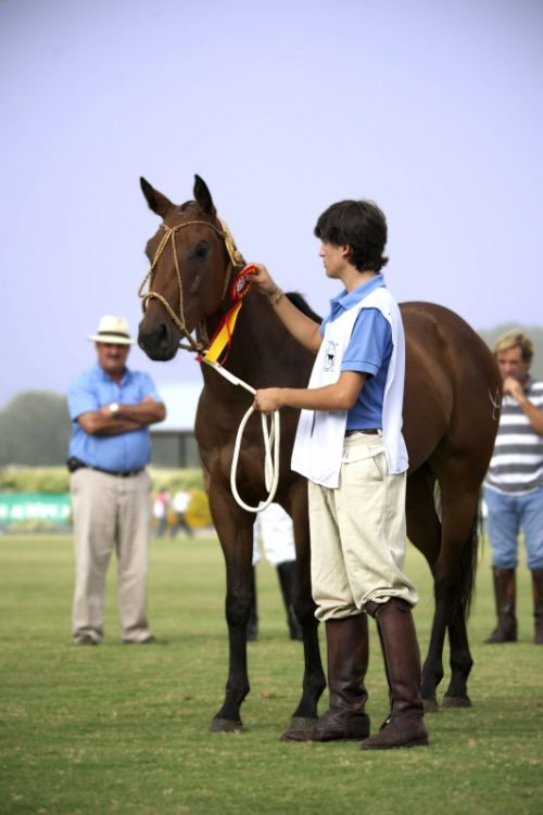 Fotografia de Curro24 - Galeria Fotografica: Polo Sotogrande - Foto: 