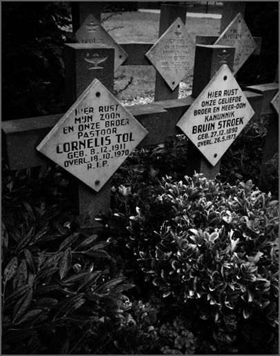 Fotografia de MANUEL TORRES - Galeria Fotografica: Varios - Foto: 