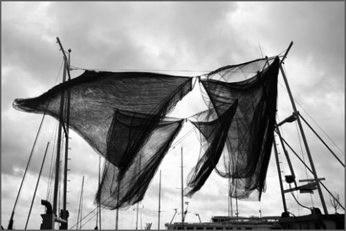 Fotografia de MANUEL TORRES - Galeria Fotografica: Varios - Foto: 