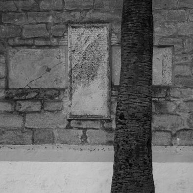 Fotografia de MANUEL TORRES - Galeria Fotografica: Varios - Foto: 