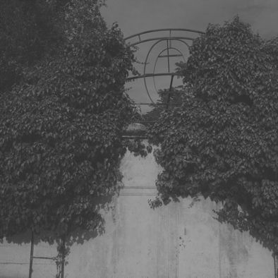 Fotografia de MANUEL TORRES - Galeria Fotografica: Varios - Foto: 