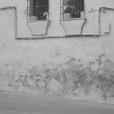 Fotografia de MANUEL TORRES - Galeria Fotografica: Varios - Foto: 