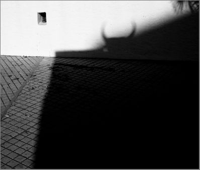 Fotografia de MANUEL TORRES - Galeria Fotografica: Varios - Foto: 