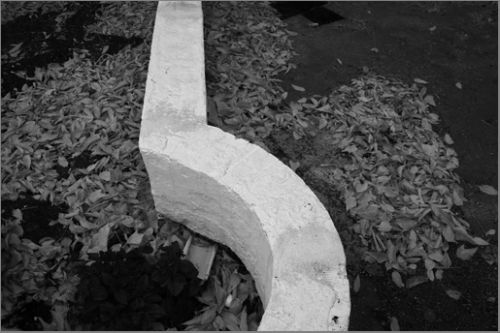 Fotografia de MANUEL TORRES - Galeria Fotografica: Varios - Foto: 