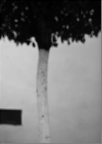 Fotografia de MANUEL TORRES - Galeria Fotografica: Varios - Foto: 