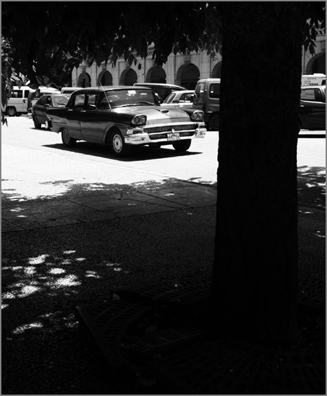 Fotografia de MANUEL TORRES - Galeria Fotografica: Varios - Foto: 