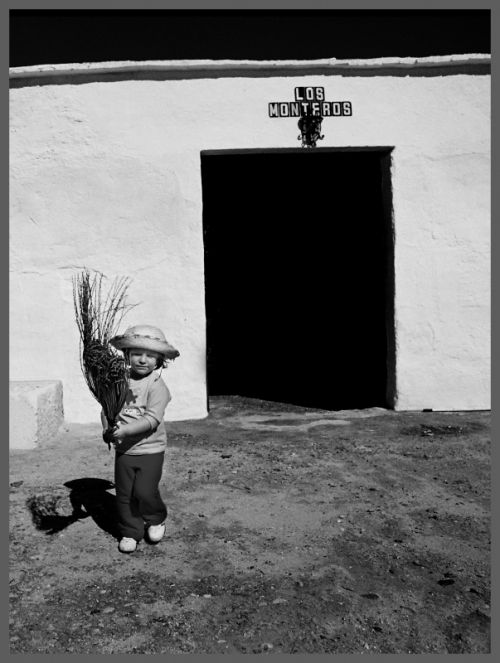 Fotografia de MANUEL TORRES - Galeria Fotografica: Varios - Foto: 