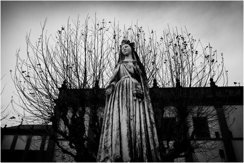 Fotografia de MANUEL TORRES - Galeria Fotografica: Varios - Foto: 