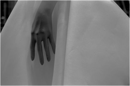 Fotografia de MANUEL TORRES - Galeria Fotografica: Varios - Foto: 