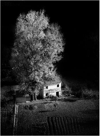 Fotografia de MANUEL TORRES - Galeria Fotografica: Varios - Foto: 