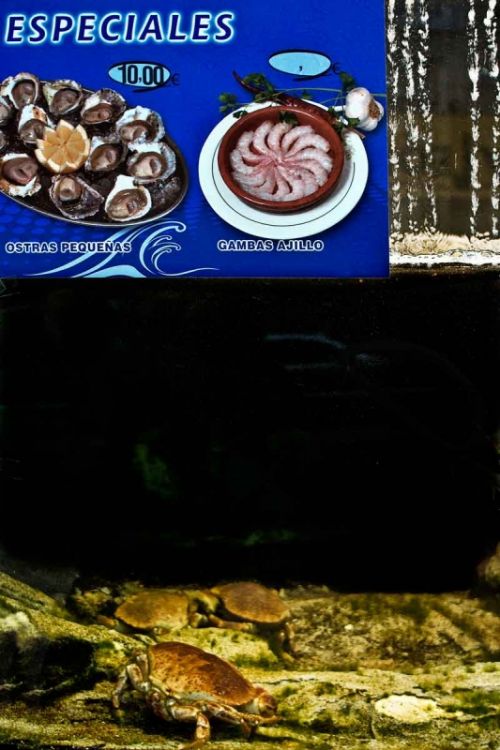 Fotografia de Roque Hernandez - Galeria Fotografica: Seamos felices - Foto: Seamos felices n 6