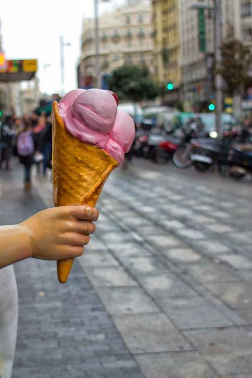 Fotografia de Roque Hernandez - Galeria Fotografica: Seamos felices - Foto: Seamos felices n 7