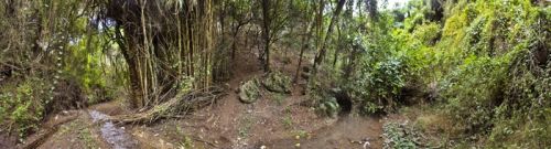 Fotografia de Laura Messing - Galeria Fotografica: Bosques - Foto: 