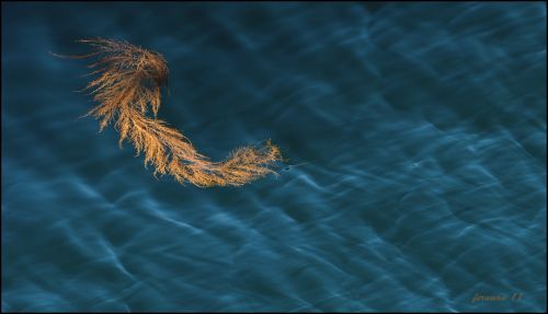 Fotografia de fernando martinez de eredita - Galeria Fotografica: minimal - Foto: Fragilidad