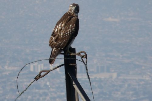 Fotografia de Jos - Galeria Fotografica: Monterrey - Foto: Solo en la sierra