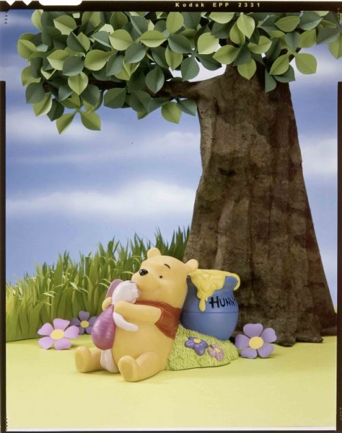 Fotografia de ART Fotografa - Galeria Fotografica: Portafolios - Foto: 