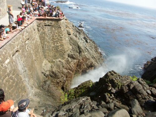 Fotografia de ARPEZSA - Galeria Fotografica: LA BUFADORA - Foto: 