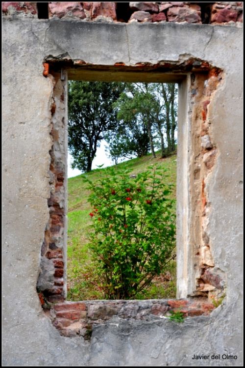 Fotografia de tiri - Galeria Fotografica: pasiones - Foto: 