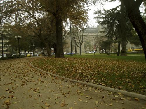 Fotografia de EfedeX - Galeria Fotografica: Oto�o Invierno Chile - Foto: Parque Forestal