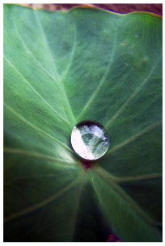 Fotografia de edisonu - Galeria Fotografica: realidad - Foto: Rocio