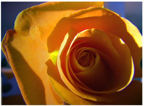 Fotografia de edisonu - Galeria Fotografica: realidad - Foto: Amarillo