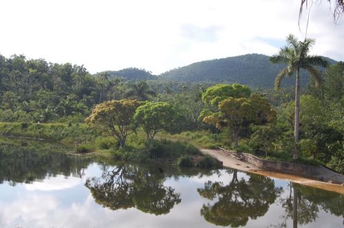 Fotografia de kmy - Galeria Fotografica: mis foticos - Foto: 