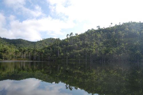 Fotografia de kmy - Galeria Fotografica: mis foticos - Foto: 